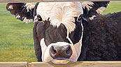 Linda Eliott calf art